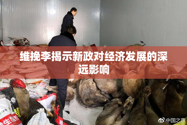 维挽李揭示新政对经济发展的深远影响