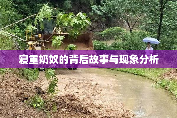 寝重奶奴的背后故事与现象分析