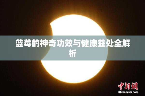 蓝莓的神奇功效与健康益处全解析
