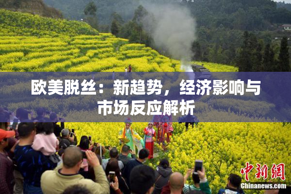 欧美脱丝：新趋势，经济影响与市场反应解析