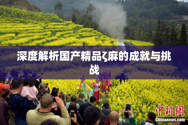深度解析国产精品ζ麻的成就与挑战