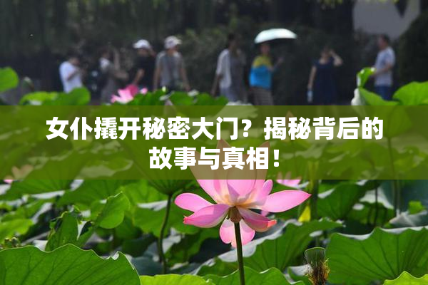 女仆撬开秘密大门？揭秘背后的故事与真相！