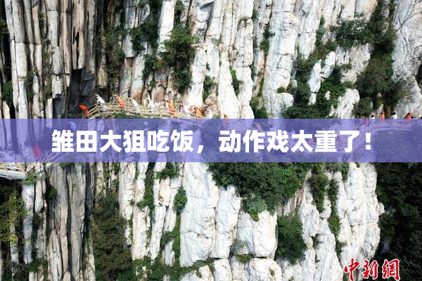 雏田大狙吃饭，动作戏太重了！