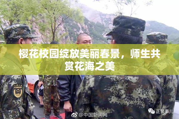 樱花校园绽放美丽春景，师生共赏花海之美
