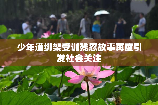 少年遭绑架受训残忍故事再度引发社会关注