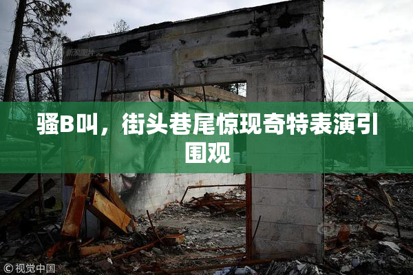 骚B叫，街头巷尾惊现奇特表演引围观