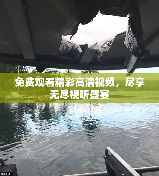 免费观看精彩高清视频，尽享无尽视听盛宴