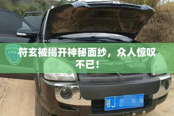 符玄被揭开神秘面纱，众人惊叹不已！