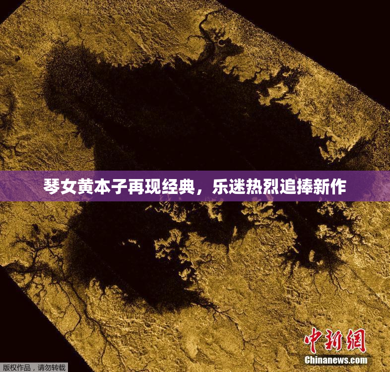 琴女黄本子再现经典，乐迷热烈追捧新作
