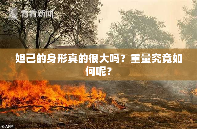 妲己的身形真的很大吗？重量究竟如何呢？