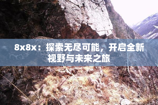 8x8x：探索无尽可能，开启全新视野与未来之旅