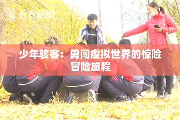 少年骇客：勇闯虚拟世界的惊险冒险旅程
