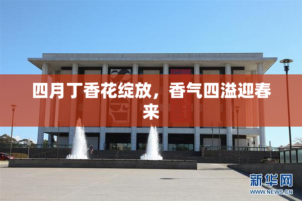 四月丁香花绽放，香气四溢迎春来