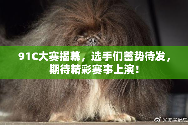 91C大赛揭幕，选手们蓄势待发，期待精彩赛事上演！