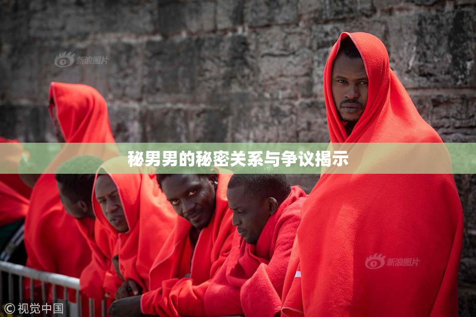 秘男男的秘密关系与争议揭示