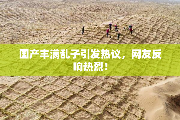 国产丰满乱子引发热议，网友反响热烈！
