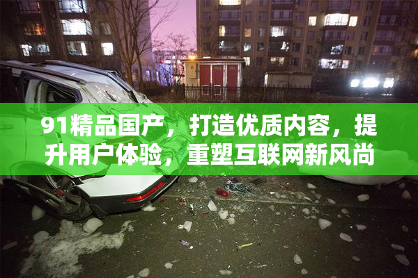 91精品国产，打造优质内容，提升用户体验，重塑互联网新风尚。