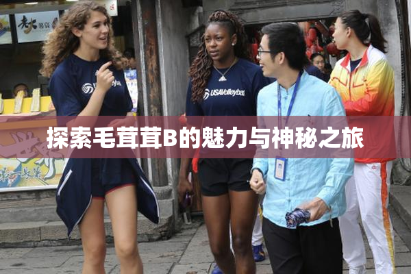 探索毛茸茸B的魅力与神秘之旅