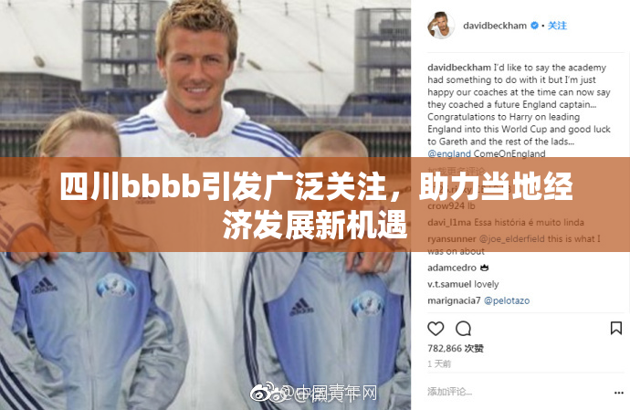 四川bbbb引发广泛关注，助力当地经济发展新机遇