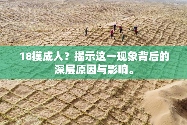 18摸成人？揭示这一现象背后的深层原因与影响。