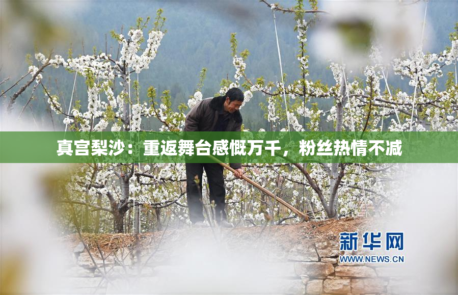 真宫梨沙：重返舞台感慨万千，粉丝热情不减