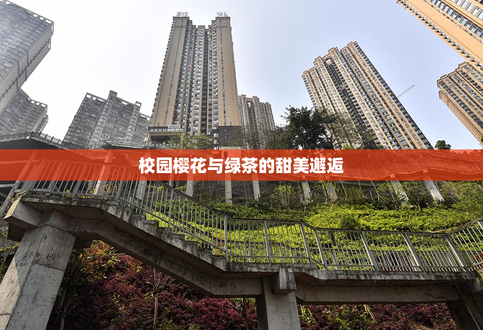 校园樱花与绿茶的甜美邂逅