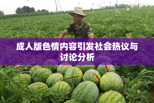 成人版色情内容引发社会热议与讨论分析