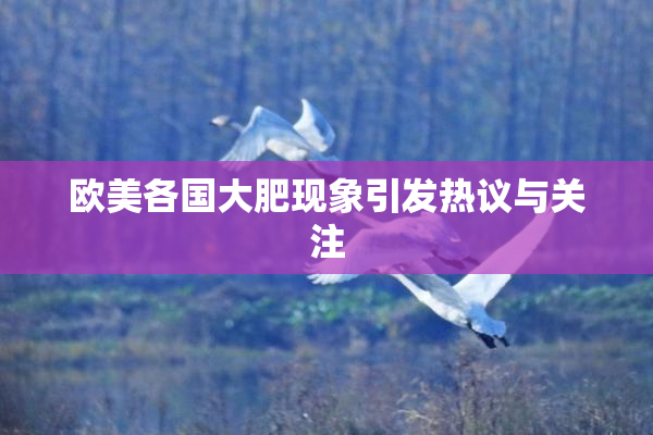 欧美各国大肥现象引发热议与关注