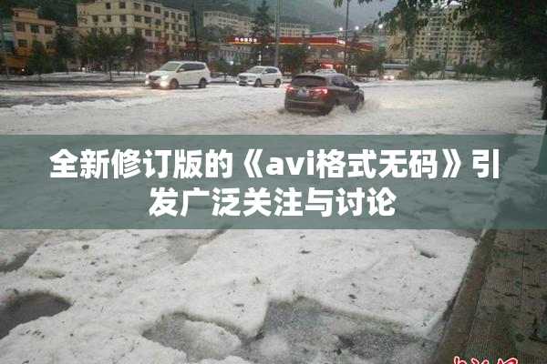 全新修订版的《avi格式无码》引发广泛关注与讨论