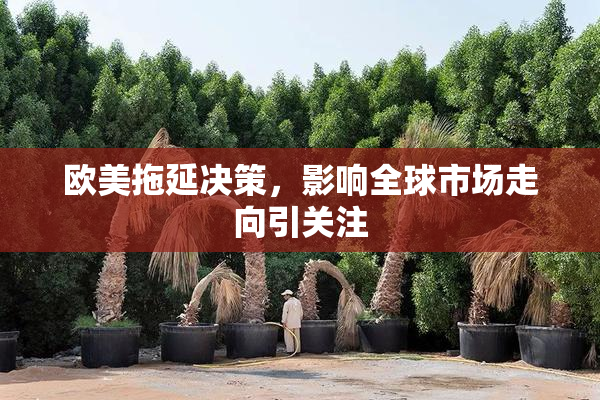 欧美拖延决策，影响全球市场走向引关注
