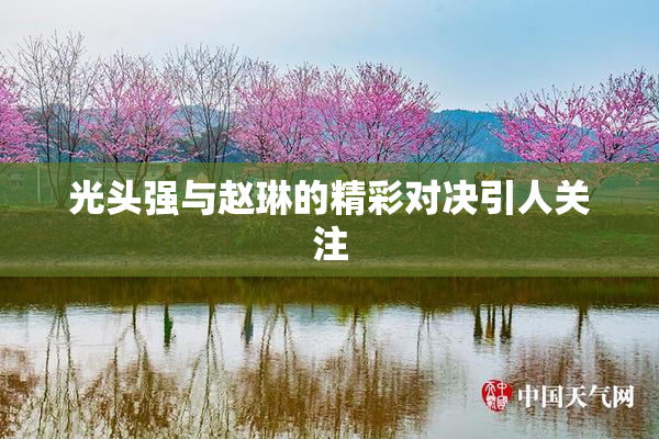 光头强与赵琳的精彩对决引人关注