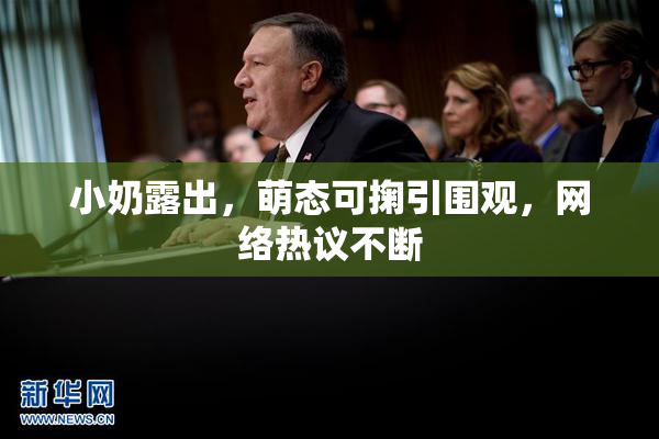 小奶露出，萌态可掬引围观，网络热议不断