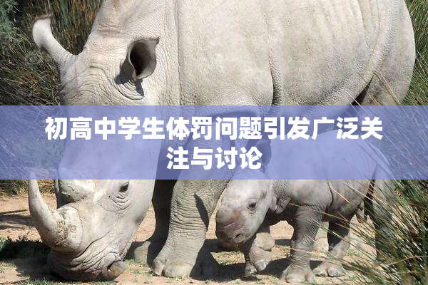 初高中学生体罚问题引发广泛关注与讨论
