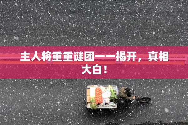主人将重重谜团一一揭开，真相大白！
