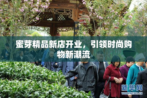 蜜芽精品新店开业，引领时尚购物新潮流