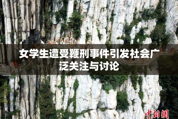 女学生遭受鞭刑事件引发社会广泛关注与讨论