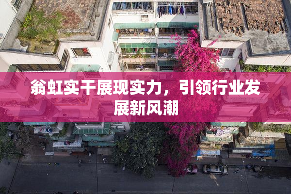 翁虹实干展现实力，引领行业发展新风潮