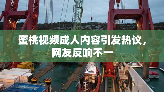 蜜桃视频成人内容引发热议，网友反响不一