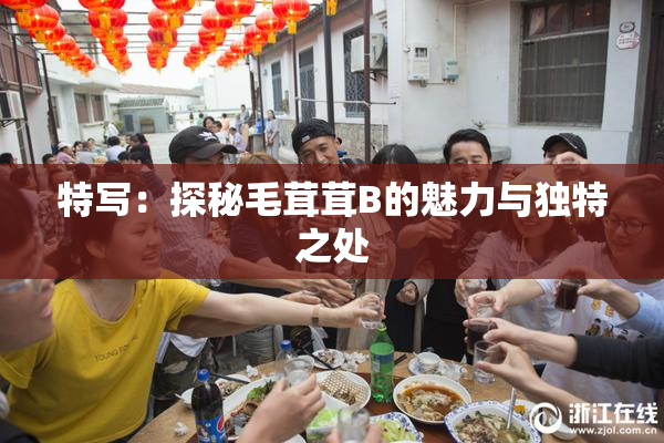 特写：探秘毛茸茸B的魅力与独特之处
