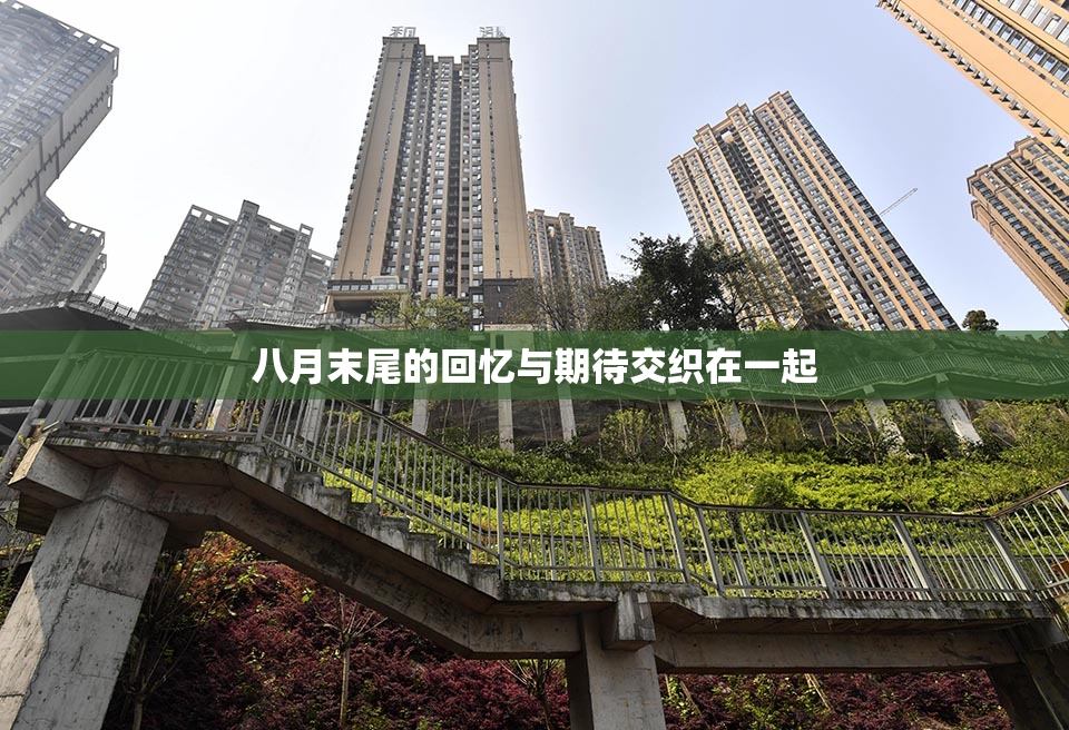 八月末尾的回忆与期待交织在一起