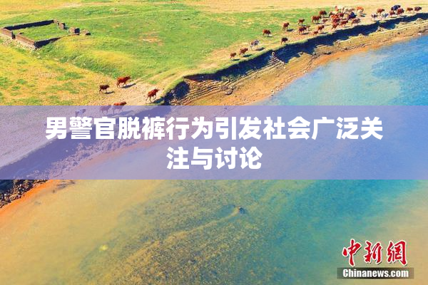 男警官脱裤行为引发社会广泛关注与讨论
