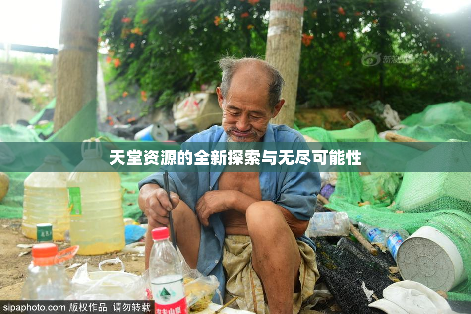 天堂资源的全新探索与无尽可能性