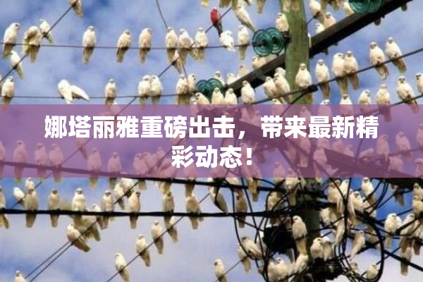 娜塔丽雅重磅出击，带来最新精彩动态！