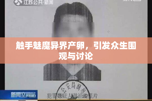 触手魅魔异界产卵，引发众生围观与讨论