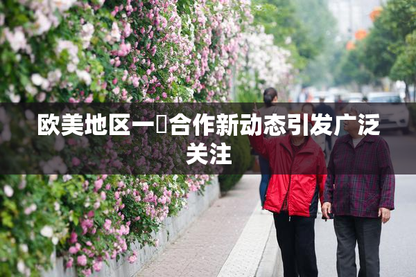 欧美地区一級合作新动态引发广泛关注