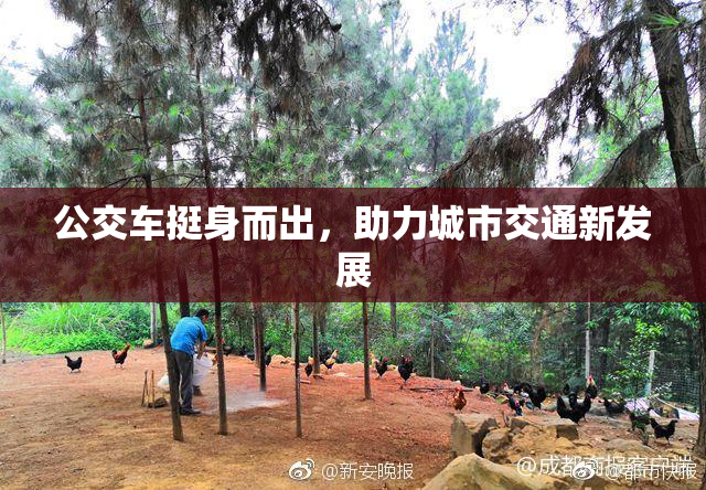 公交车挺身而出，助力城市交通新发展