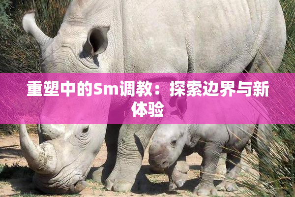 重塑中的Sm调教：探索边界与新体验