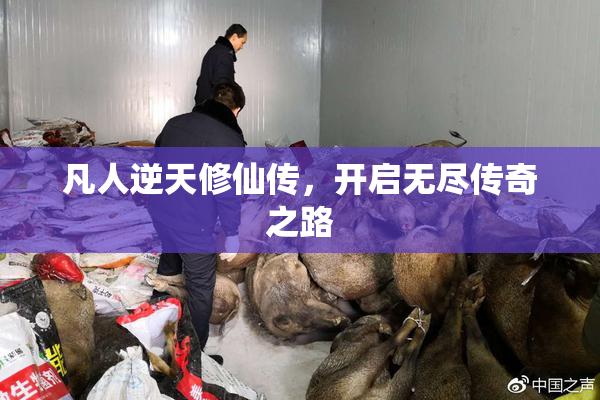 凡人逆天修仙传，开启无尽传奇之路