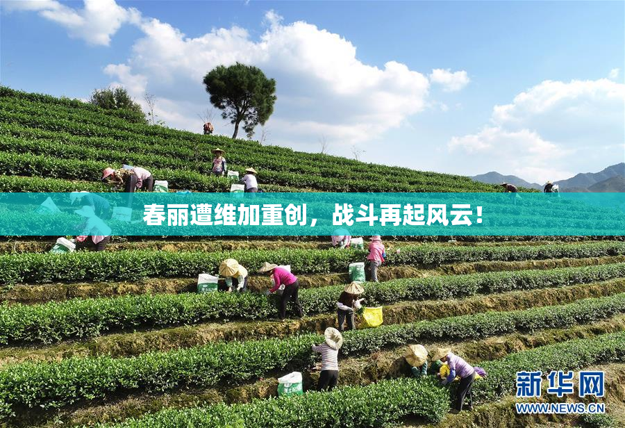 春丽遭维加重创，战斗再起风云！