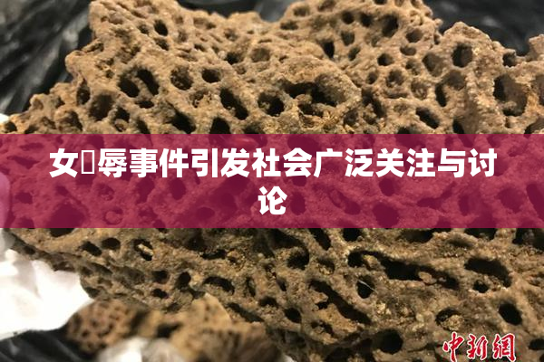 女婬辱事件引发社会广泛关注与讨论